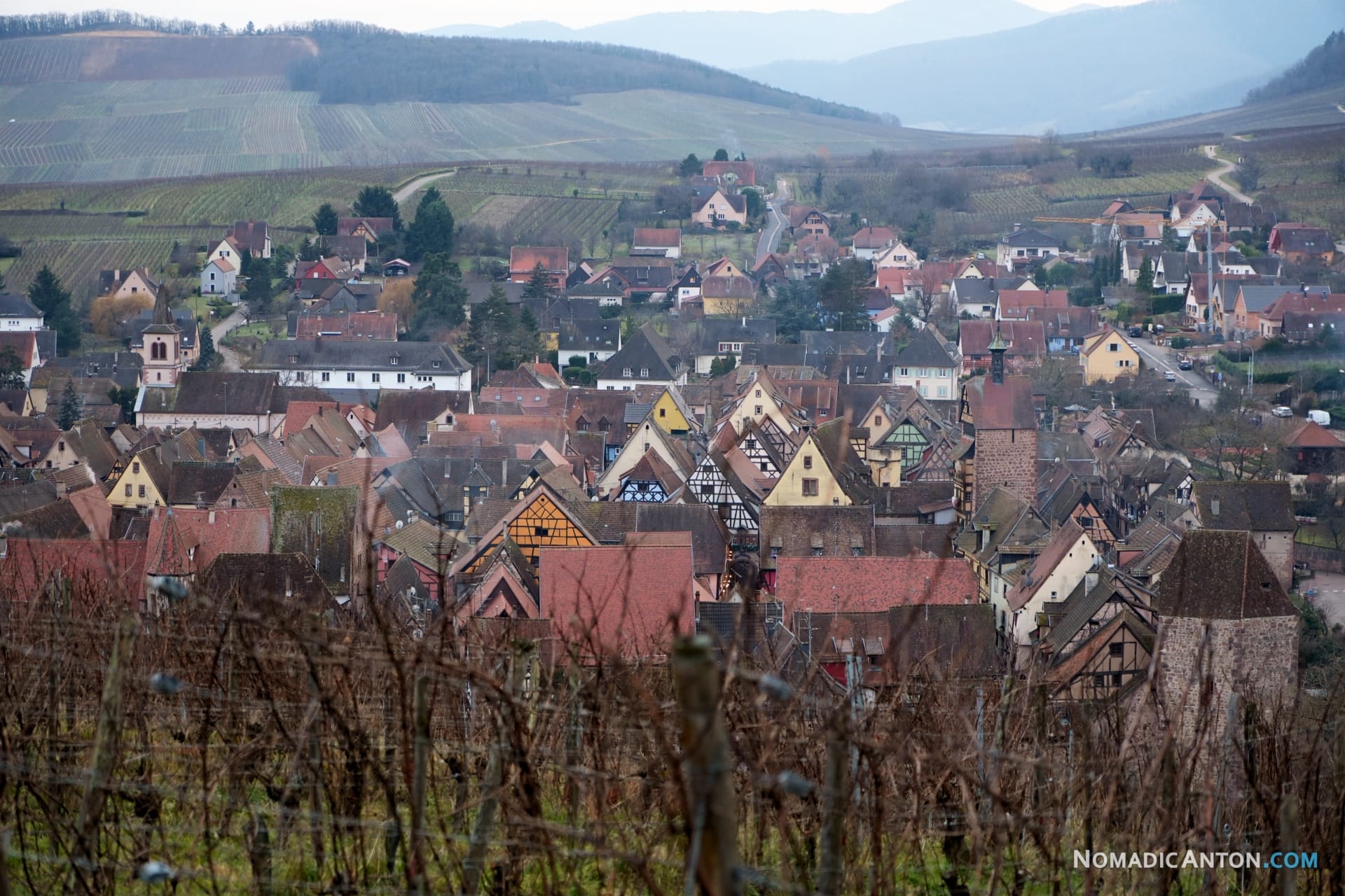View of Riquewihr from vineyards