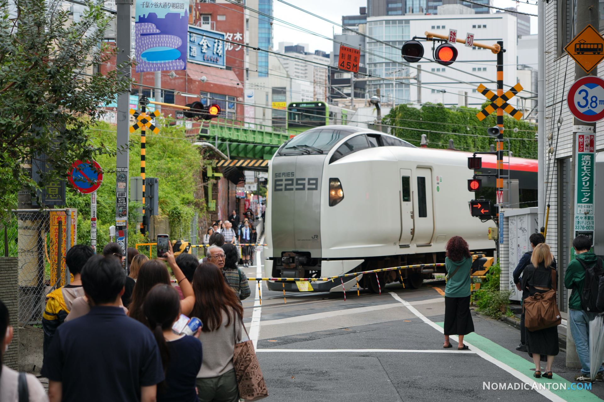 Aoyama-Kaido crossing next to Yoyogi