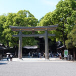 The Ootorii at Meiji Jingu is the largest wooden Myojin-style torii gate in Japan