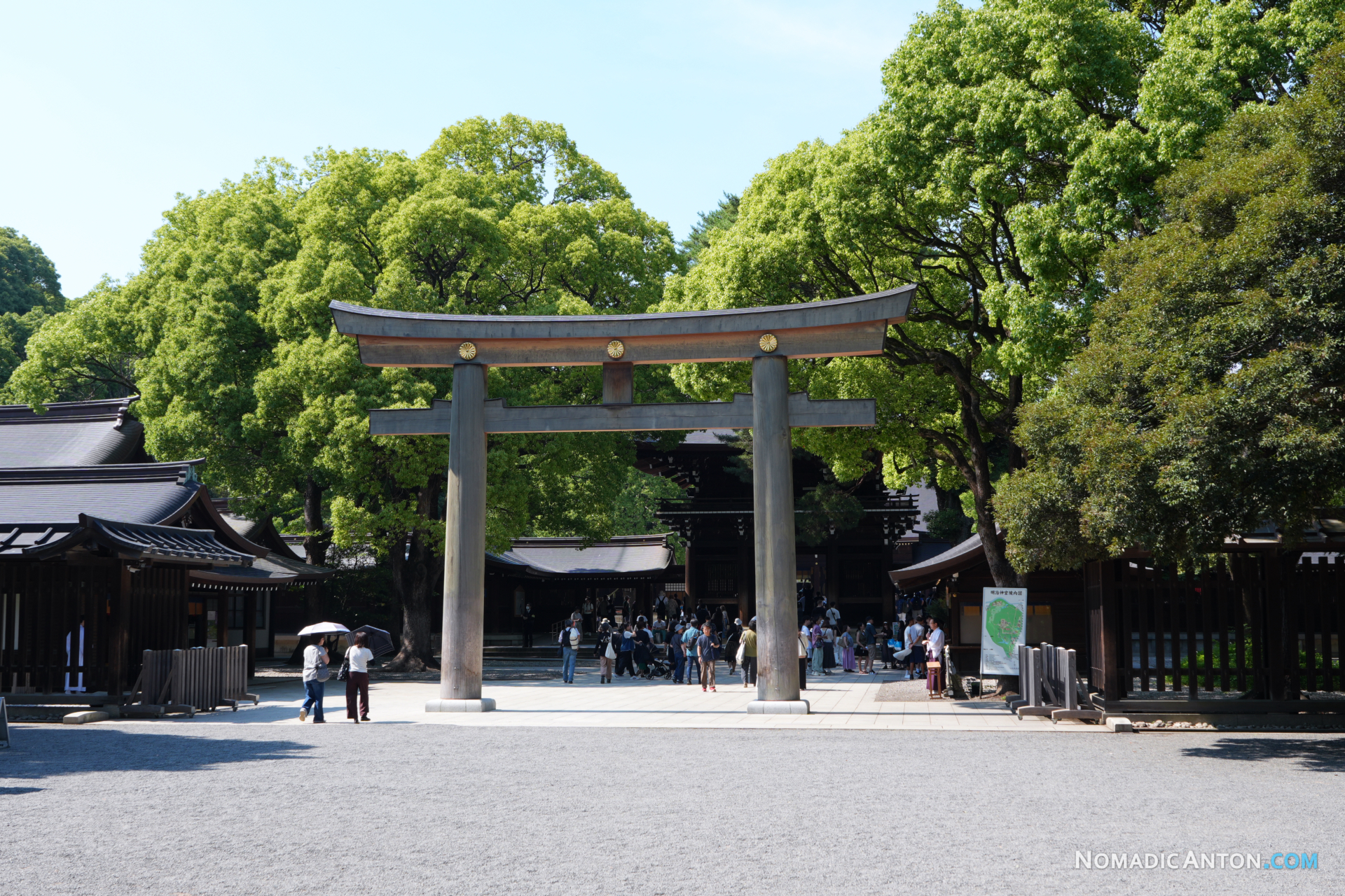 The Ootorii at Meiji Jingu is the largest wooden Myojin-style torii gate in Japan
