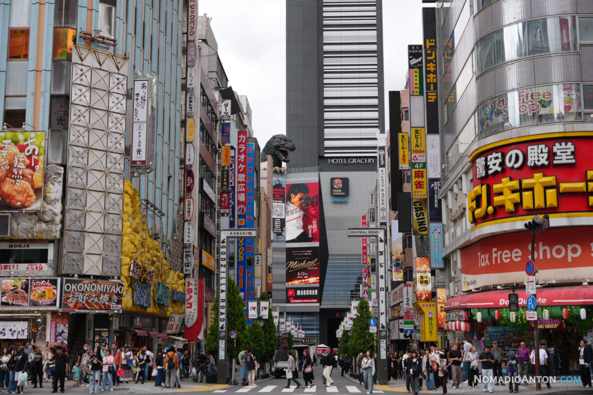 The Shinjuku Godzilla Head