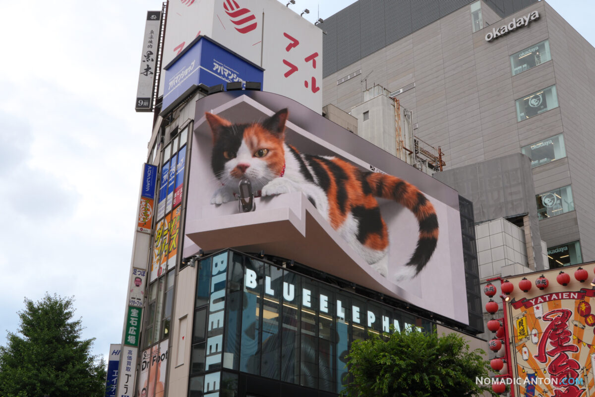 The famous 3D cat billboard in Shinjuku