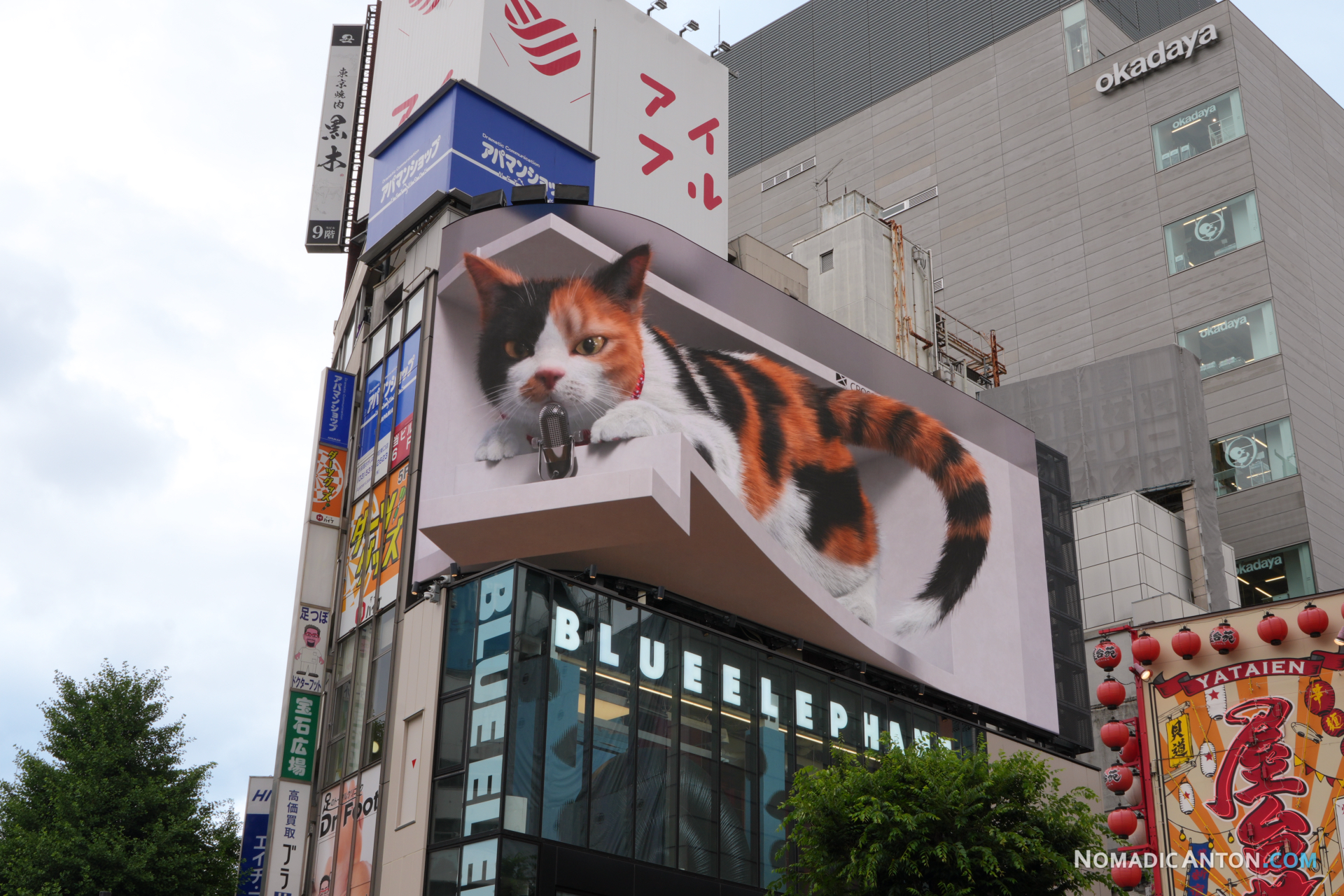The famous 3D cat billboard in Shinjuku