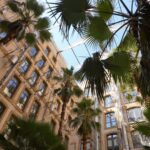 Palm fronds framing the stone façades and windows of Les Docks.