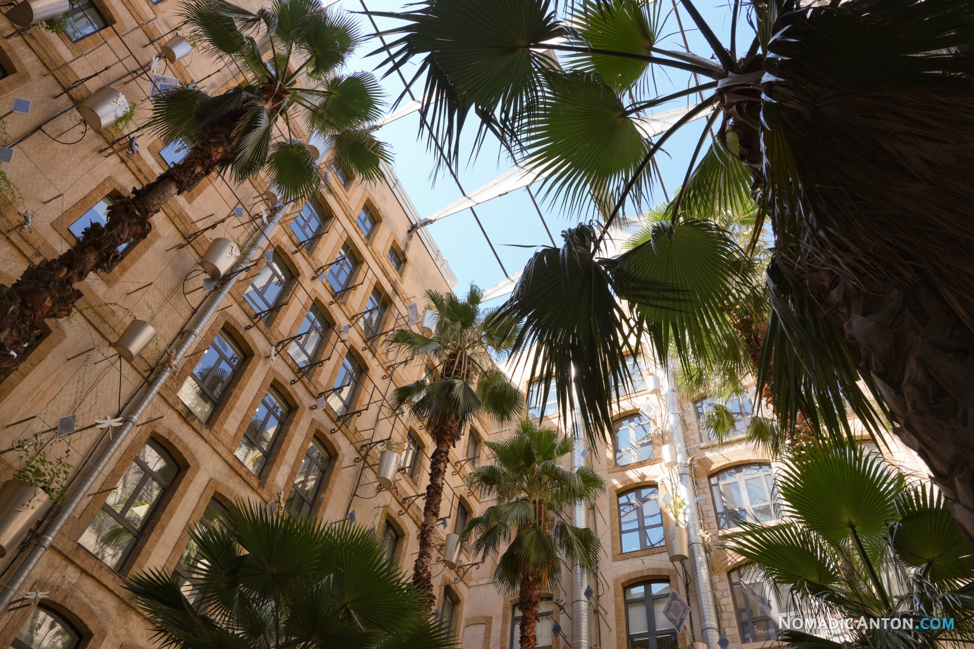 Palm fronds framing the stone façades and windows of Les Docks.
